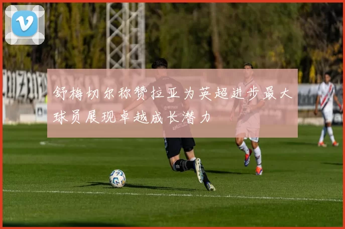 舒梅切尔称赞拉亚为英超进步最大球员展现卓越成长潜力