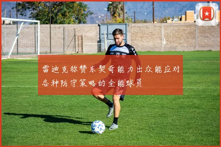 雷迪克称赞东契奇能力出众能应对各种防守策略的全能球员