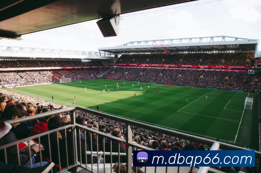 多宝棋牌服务体系